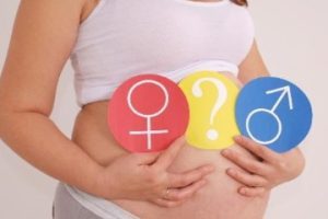 完成宫腔镜检查后,多久可以进行试管婴儿的胚胎移植?