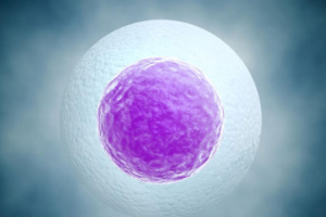 在试管婴儿建档后,接下来需要进行哪些检查?