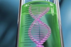 在服药期间可以进行试管婴儿吗?