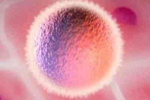 孕妇可以适量饮用苹果醋,但要注意饮用的方法和安全性