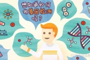 孕期总是感到饥饿是怎么回事?