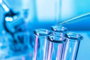 试管婴儿移植后能吃莲子米吗?医生的建议是这样的