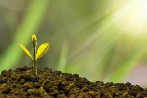 18-三体综合征：关于这种染色体异常