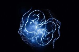 遗传性球形红细胞增多症：为何需要两个缺陷基因拷贝才能导致疾病？