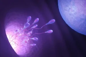 CLN1一级是否可以采用试管婴儿技术?是否需要提前进行治疗?