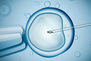 北京试管婴儿人工受孕效果如何——技术方案的选择与适应性分析