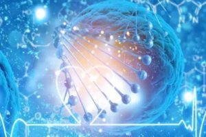 两次促排卵时卵泡没有破裂,反而不断增大。这些原因将帮助你理解