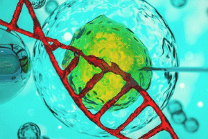 促排卵期间是否需要每天进行B超监测卵泡的发育?