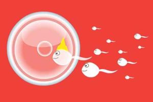 儿童卵巢发育对照表:科学解读与家长指南