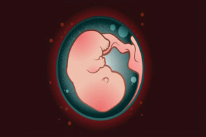 卵巢不排卵会导致哪些疾病?月经是否会受到影响?