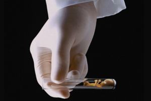 男性不育进行精液检查时,禁欲三周的结果是否准确?