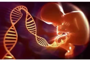 四次宫外孕后进行试管婴儿:成功率及重要事项须知