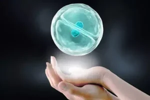 经过两个月的排卵针治疗,仍未成功怀孕——原因分析与科学应对方