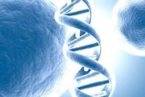 残角子宫:怀孕机会、风险及治疗详解