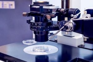 科学提升精子质量：从精液检测到生活方式的综合指南。