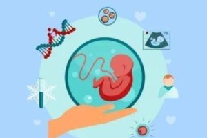 卵巢囊肿会对胚胎移植产生影响吗?原因分析及科学治疗建议