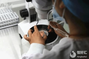 试管婴儿移植后流产的原因、检查以及应对建议