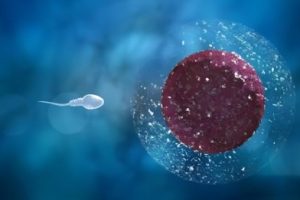 试管婴儿费用全面解析:从筛查到移植,如何合理利用每一分钱?