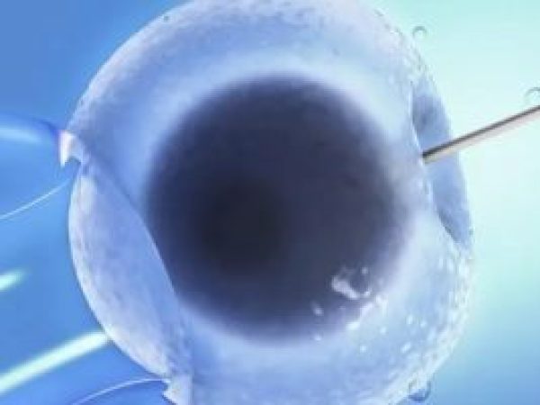 在试管婴儿过程中,生气真的会导致卵泡提早破裂吗?