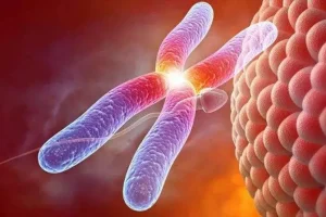 备孕须知:女性生育能力下降的常见症状及科学应对建议