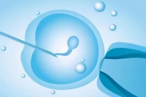 30岁做试管婴儿成功率有多高？科学解读