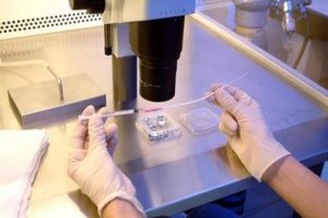 44岁女性赴美试管：成功率几何？希望何在？