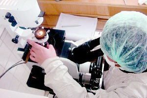 7天囊胚质量好不好？关键看这几点！