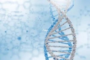 ppos方案攒胚：多少个合适？风险与优点全解析