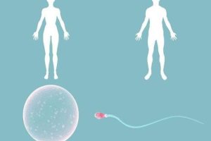 仅一次第三代试管婴儿冷冻胚胎移植就成功