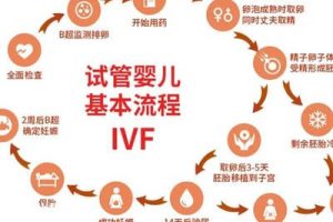 两次胎停后想怀双胞胎？泰国试管可行吗？科学指南