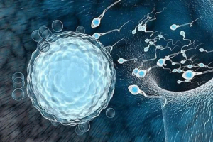 单身赴俄做试管婴儿：费用真相与理性选择指南