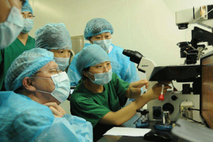 内膜6.5mm，移植成功率高吗？科学解读与提升指南