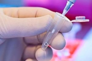 移植前服用来曲唑片：试管患者必看的科学指南