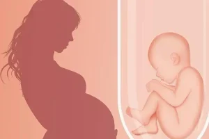 试管婴儿降调只打一针吗？别慌！这是科学的“长效解决方案”