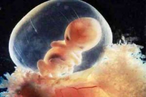 在中国选第三代试管婴儿医院：别被“排名”带偏