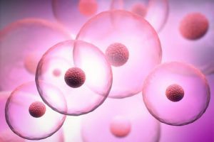 美国试管婴儿胎龄计算：核心逻辑、精准趋势与避坑指南