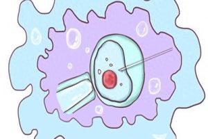 泰国艾滋病患者ivf治疗指南：科学认知与理性选择