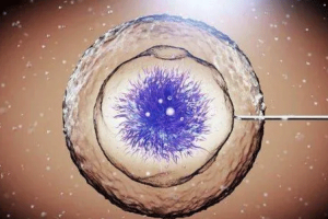 试管婴儿促排卵药物“乐瑞”：它真的能促进卵泡生长吗？