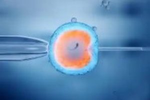 试管婴儿受精率：正常范围、影响因素及实用应对指南