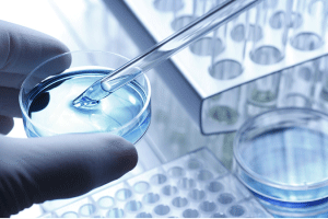 试管婴儿胚胎移植前7天饮食指南：科学调理助力胚胎着床