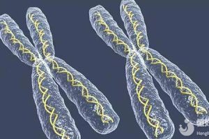 长方案周期：40-60天的科学规划与从容应对