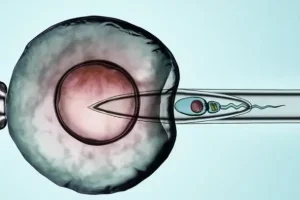30岁备孕女性，试管婴儿（ivf）是好选择吗？先搞懂这些关键概念
