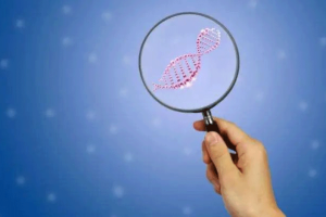 30岁女性试管婴儿成功率：核心分析与提升指南