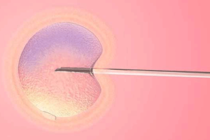 4aa与5aa囊胚：数字高≠成功率高——选“合适匹配”才是关键