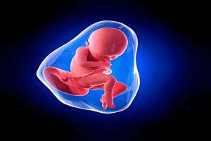 俄罗斯试管婴儿费用分析：高性价比方案详解