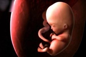 “胚胎培养第五天没结果，是不是就失败了