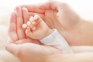 促排卵时用绒促性素（hcg）：是加速卵泡还是稳发育？科学解析