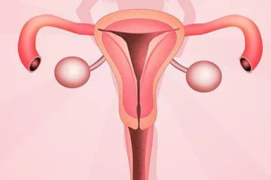 单身人士接受试管婴儿合法吗？全面解读政策边界与关键要点