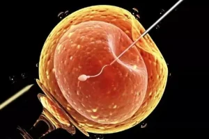 泰国第四代试管婴儿技术成本分析：最新趋势与全球成本效益优势