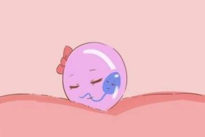 阴道分泌物清澈≠成功着床？备孕期间常见误区解析